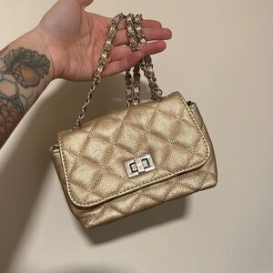 Steve Madden mini crossbody